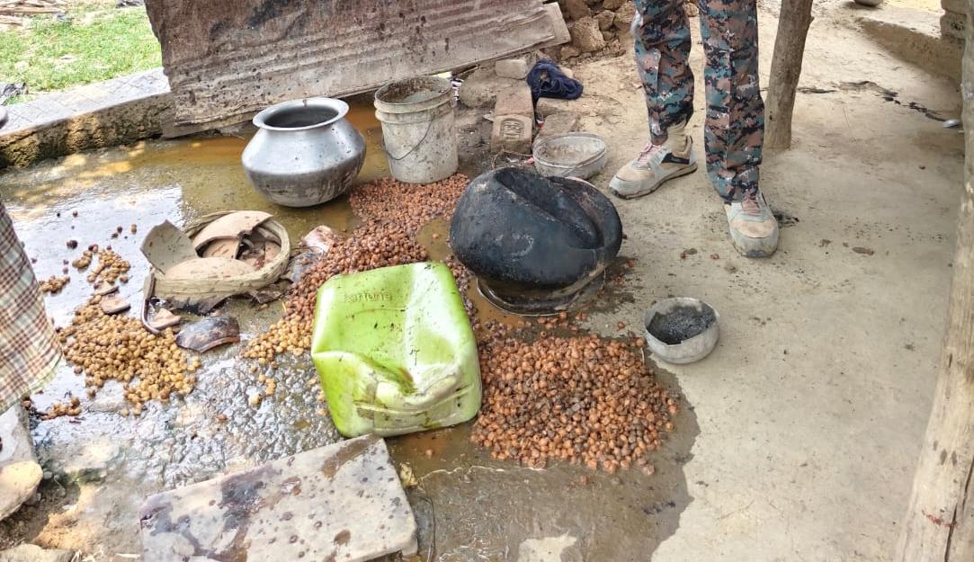 Palamu News : मोहम्मदगंज पुलिस ने 20 लीटर शराब व 10 किलो जावा महुआ किया नष्ट