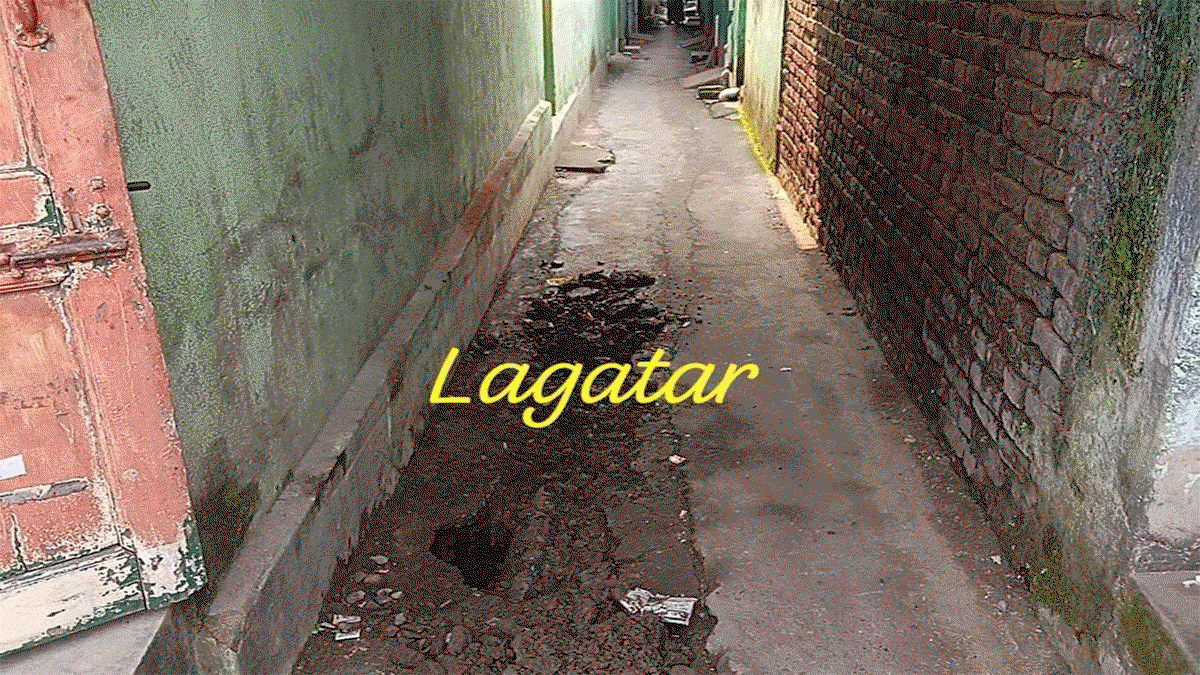 Uploaded Image