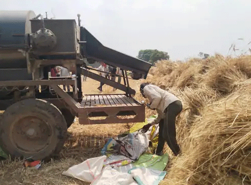 मुजफ्फरपुर : थ्रेशर में फंसकर किसान के दोनों हाथ कटे, मई में होनी है बेटी की शादी