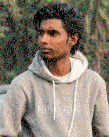 Uploaded Image