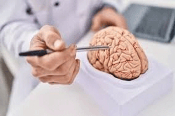 RU ने M.Phil क्लिनिकल साइकोलॉजी व अन्य कोर्स की सप्लीमेंट्री व प्रैक्टिकल परीक्षा का शिड्यूल किया जारी