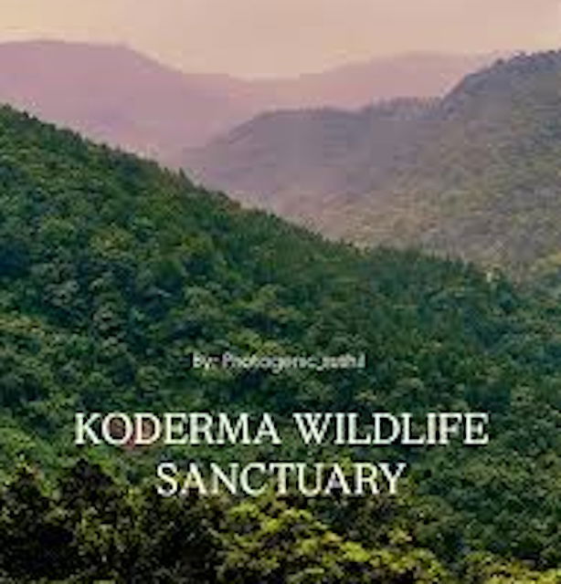 कोडरमा वाइल्ड लाइफ सेंक्चुरी में अवैध अभ्रक खदान धंसने से एक की मौत दो घायल