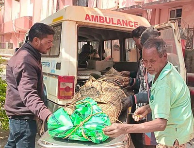 गुमला: पत्नी से झगड़े के बाद घर से निकला था, पेड़ से लटका मिला शव