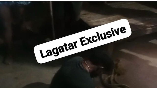 Breaking: : पलामू में बैटरी चोरी के शक में युवक की बेरहमी से पिटाई, इलाज के दौरान हुई मौत