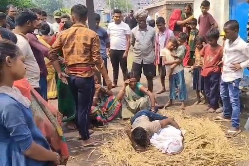 Dhanbad News: आवारा कुत्तों की झुंड ने 5 साल के मासूम को नोंच डाला, मौत