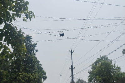 Bokaro News: बांस व पेड़ के सहारे बिजली सप्लाई, दे रही हादसे को न्यौता