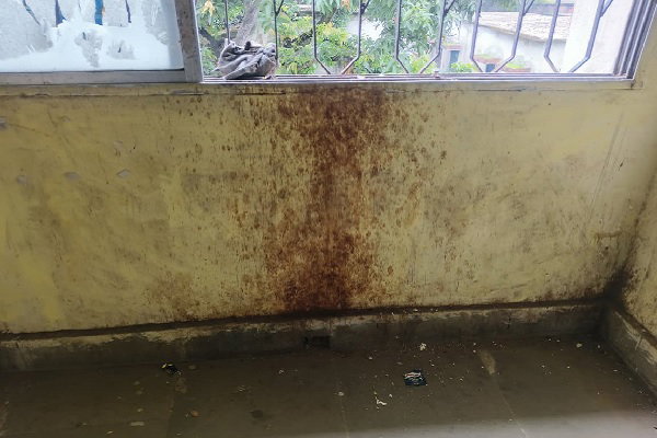 Uploaded Image