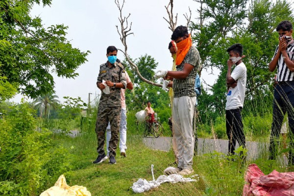 Jamtara News : झाड़ियों से मिला शव, पहचान में जुटी पुलिस